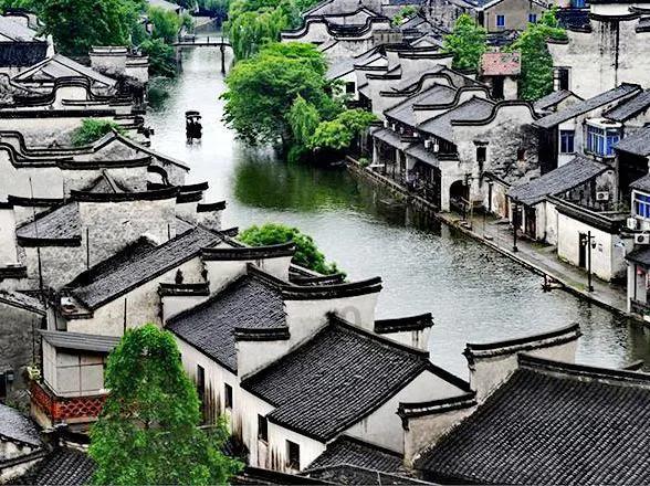 披萨找不同
